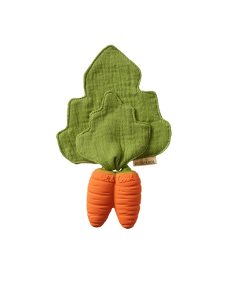 Cathy the Carrot